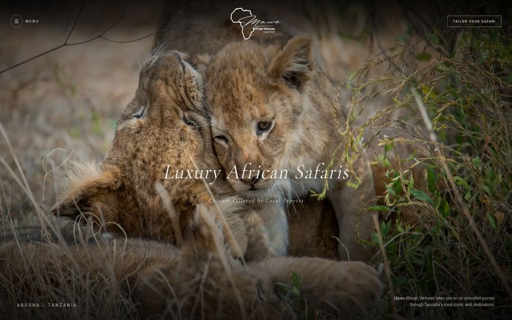 Mawe African Venture website preview