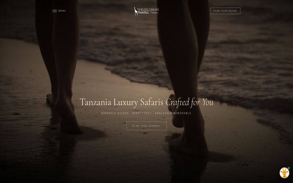 Timeless Dream Travels website preview